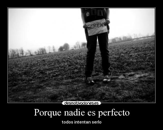 Porque nadie es perfecto -