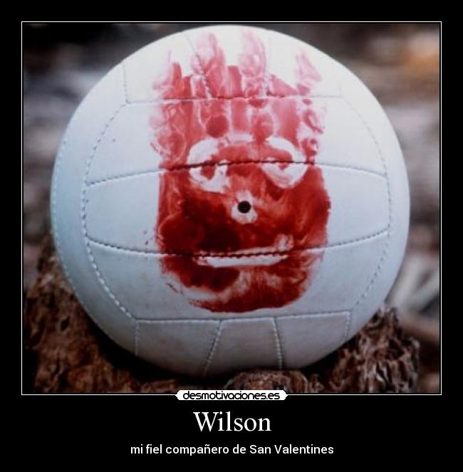 Wilson - 