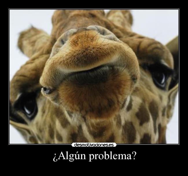 ¿Algún problema? - 