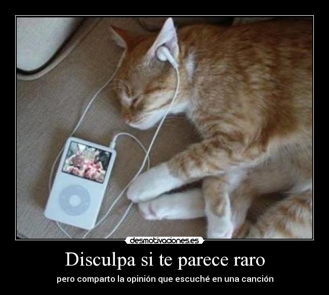 Disculpa si te parece raro - pero comparto la opinión que escuché en una canción