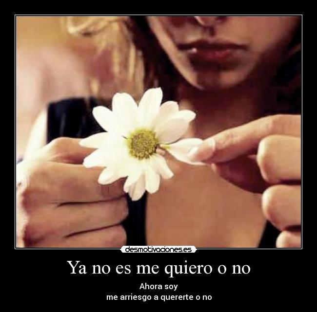 Ya no es me quiero o no - Ahora soy
me arriesgo a quererte o no