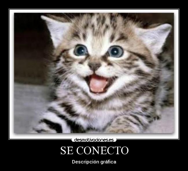 SE CONECTO -