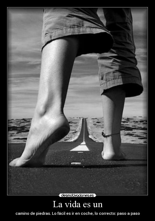 La vida es un - camino de piedras. Lo fácil es ir en coche, lo correcto: paso a paso