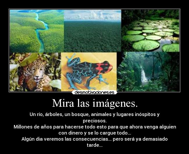 Mira las imágenes. - 