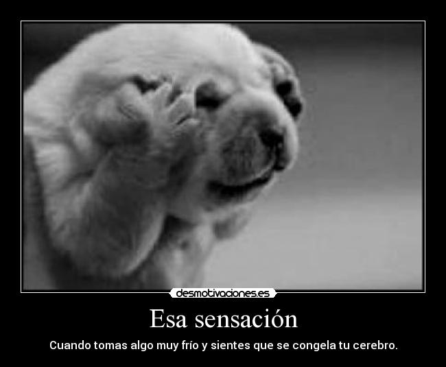 Esa sensación - 