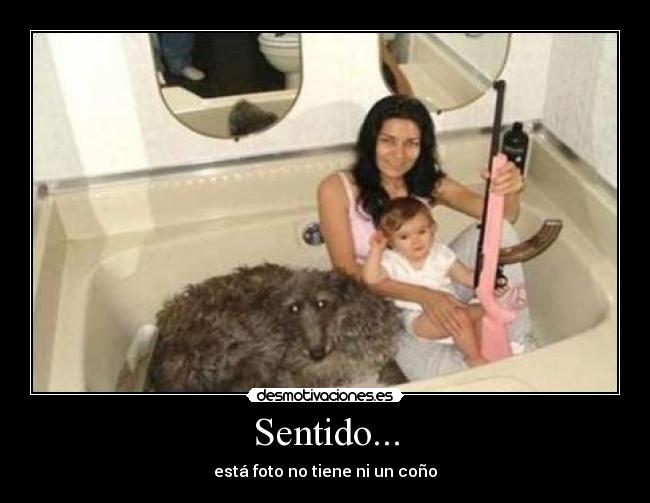 Sentido... - está foto no tiene ni un coño