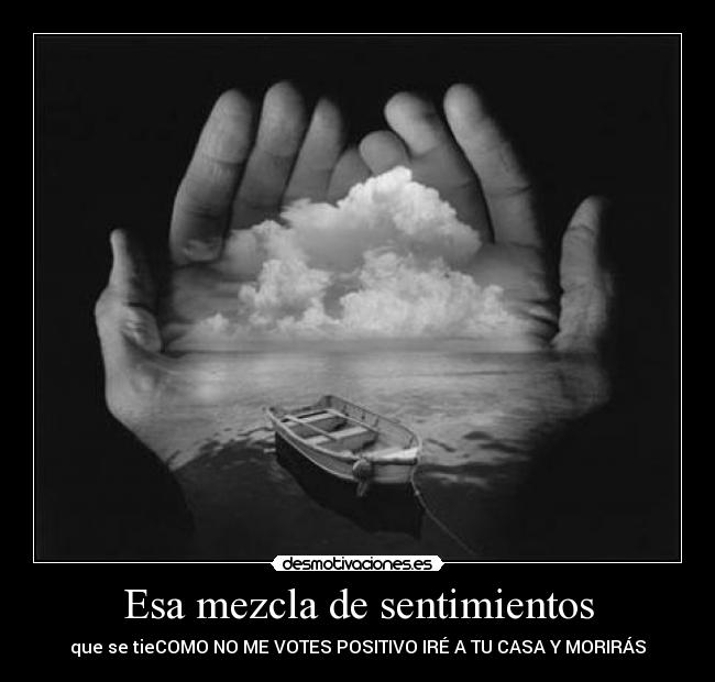 carteles sentimientos sentimientos desmotivaciones