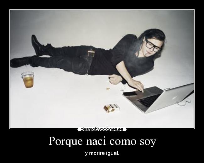 carteles skrillex desmotivaciones