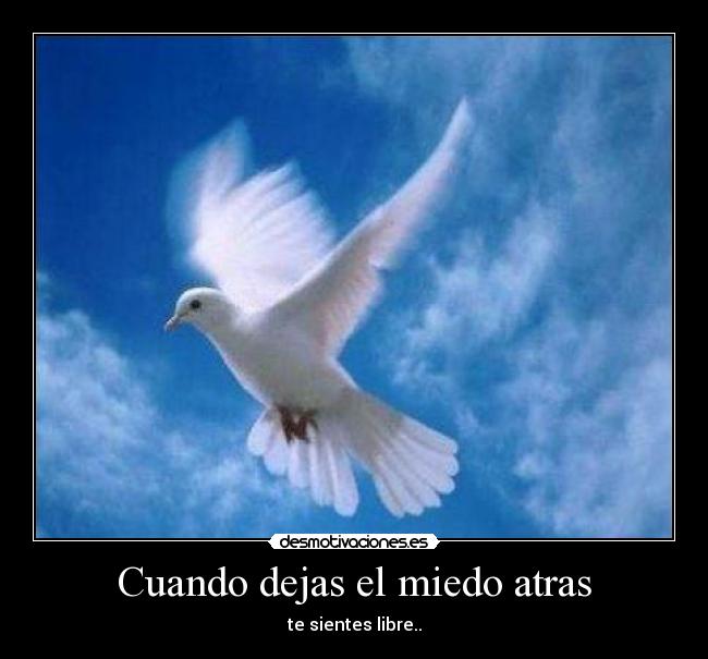 Cuando dejas el miedo atras - te sientes libre..