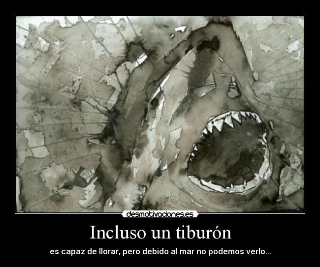 Incluso un tiburón -