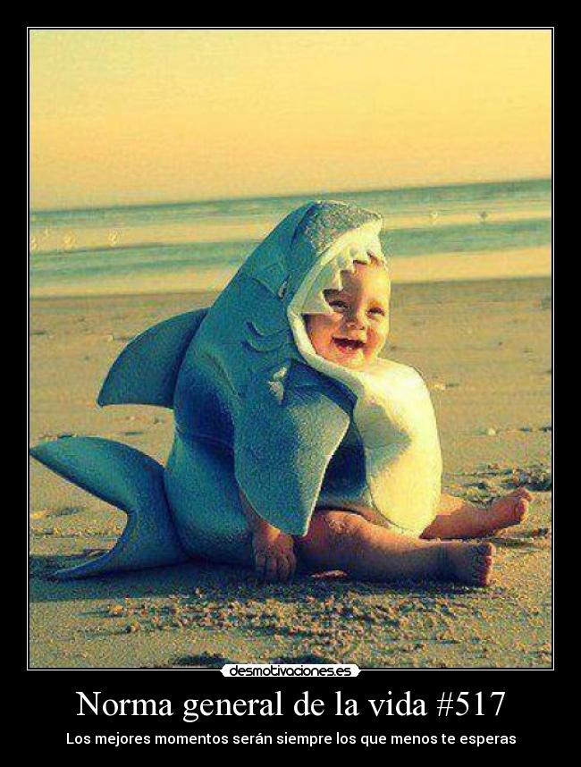 Norma general de la vida #517 -