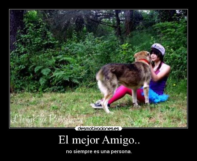 El mejor Amigo.. - no siempre es una persona.