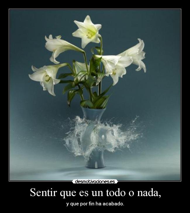 carteles libertad libertad libertaaad gloriosa libertad examenes desmotivaciones