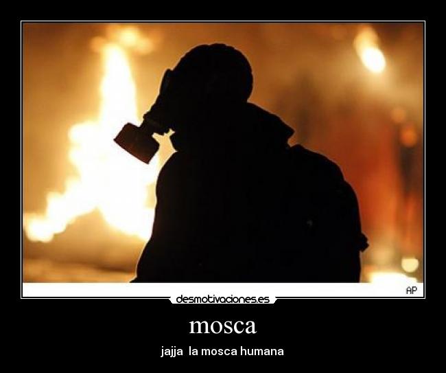 mosca - jajja  la mosca humana