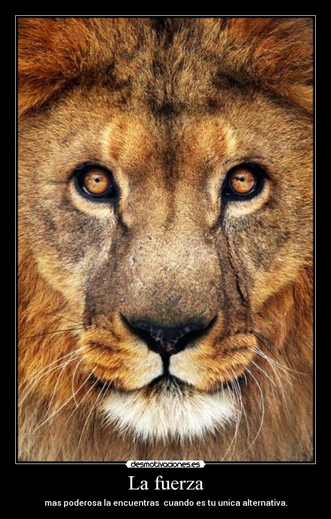 La fuerza - 
