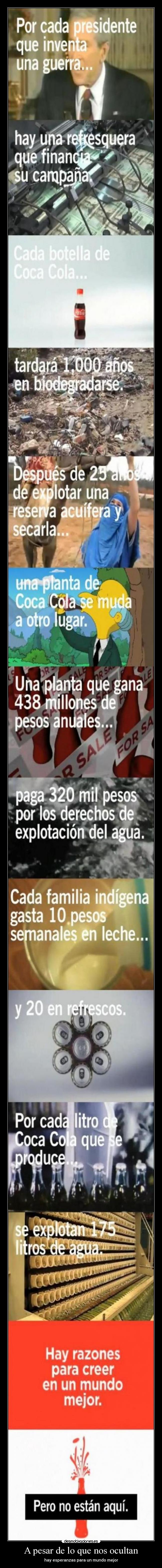 A pesar de lo que nos ocultan - hay esperanzas para un mundo mejor