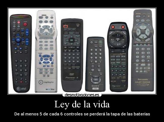 Ley de la vida -
