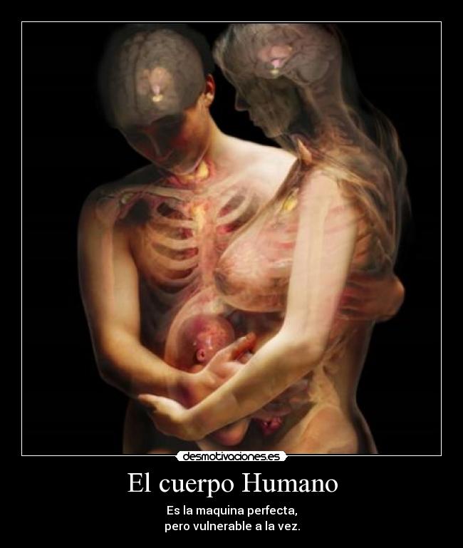 El cuerpo Humano - Es la maquina perfecta,
pero vulnerable a la vez.