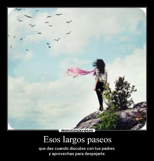 Esos largos paseos -
