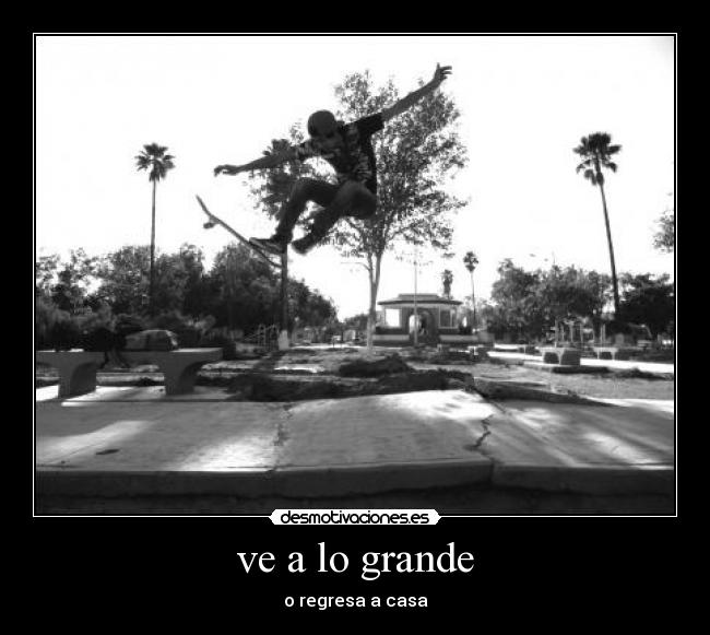 ve a lo grande -