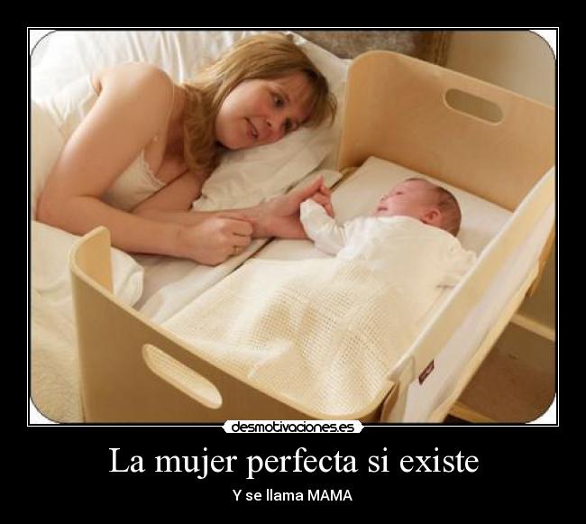 La mujer perfecta si existe - 