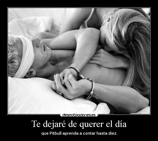 Te dejaré de querer el día - 