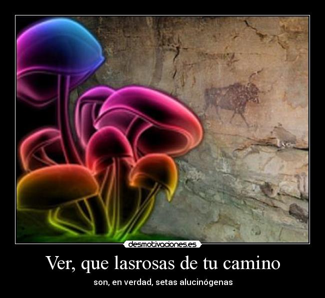 Ver, que lasrosas de tu camino - 