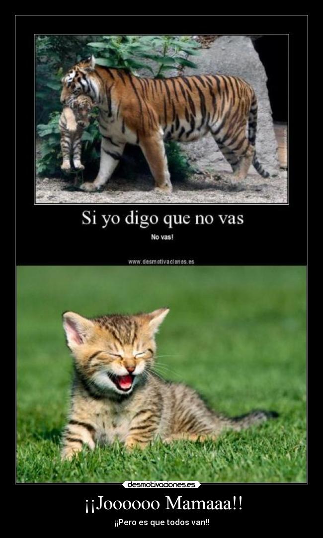 ¡¡Joooooo Mamaaa!! - ¡¡Pero es que todos van!!