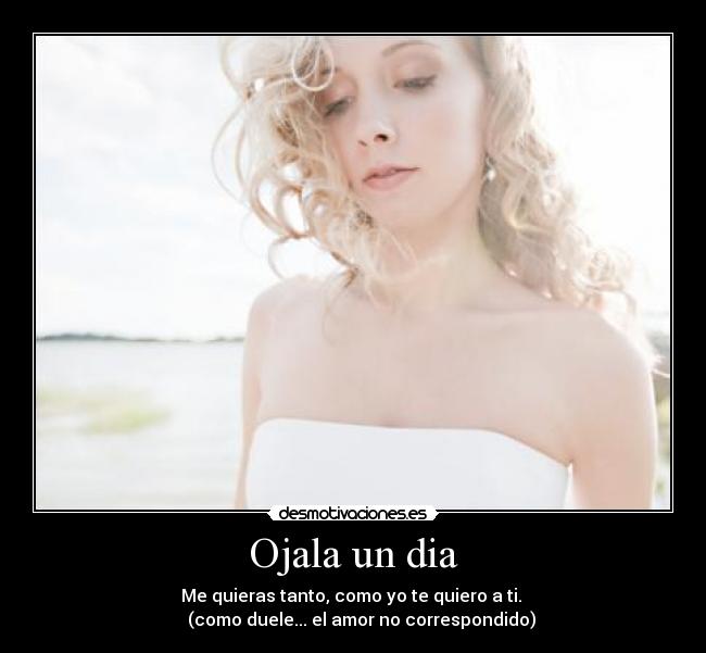Ojala un dia - Me quieras tanto, como yo te quiero a ti.
(como duele... el amor no correspondido)