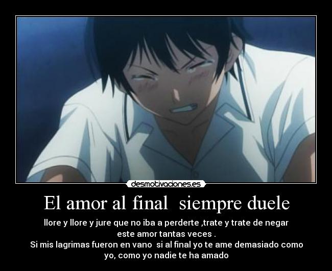 El amor al final siempre duele -