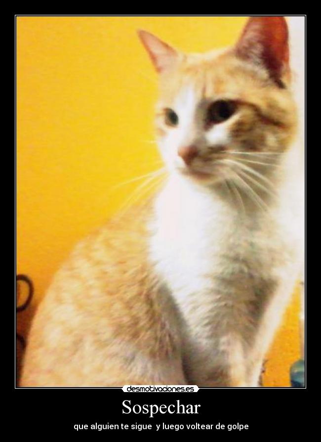 Sospechar -