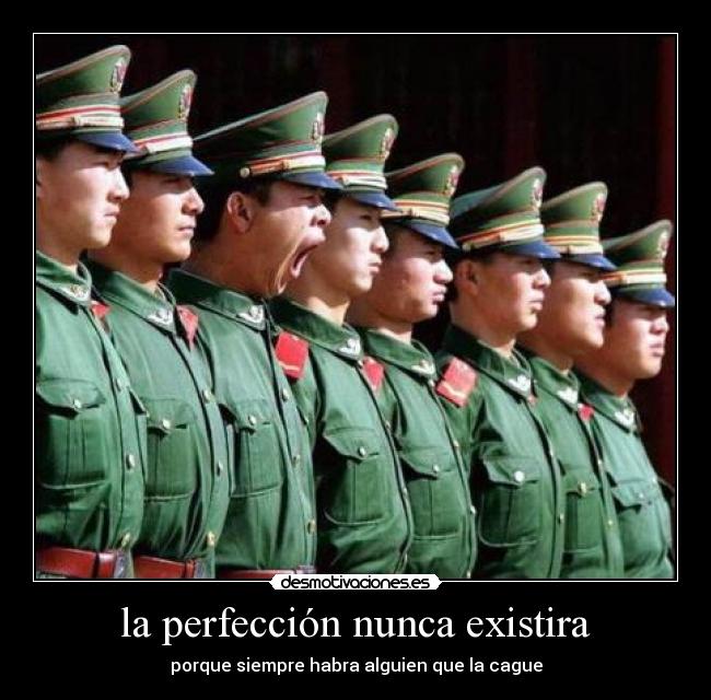 la perfección nunca existira -
