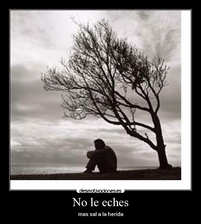 No le eches - 