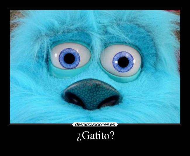 ¿Gatito? -