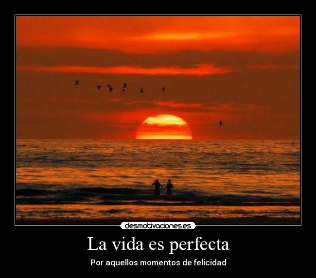 La vida es perfecta - Por aquellos momentos de felicidad