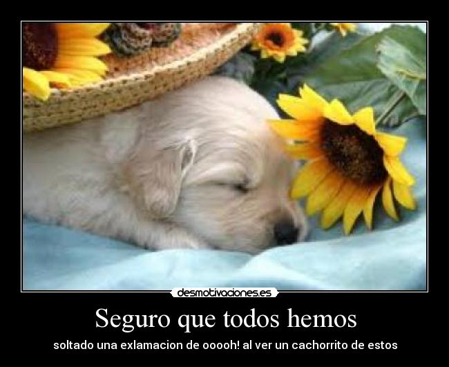 Seguro que todos hemos -