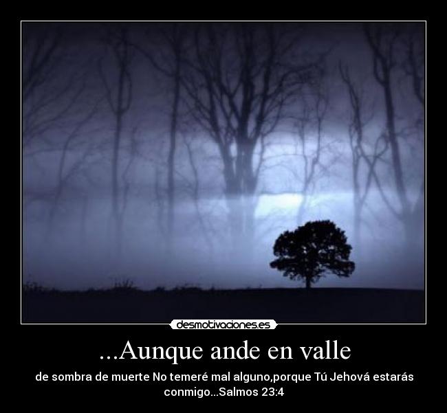 ...Aunque ande en valle Desmotivaciones ...Aunque ande en valle Desmotivaciones