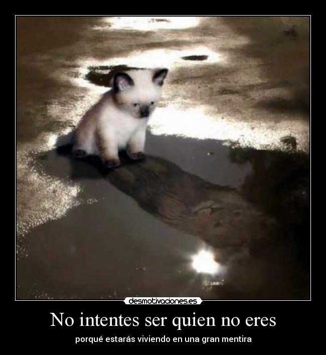 No intentes ser quien no eres -