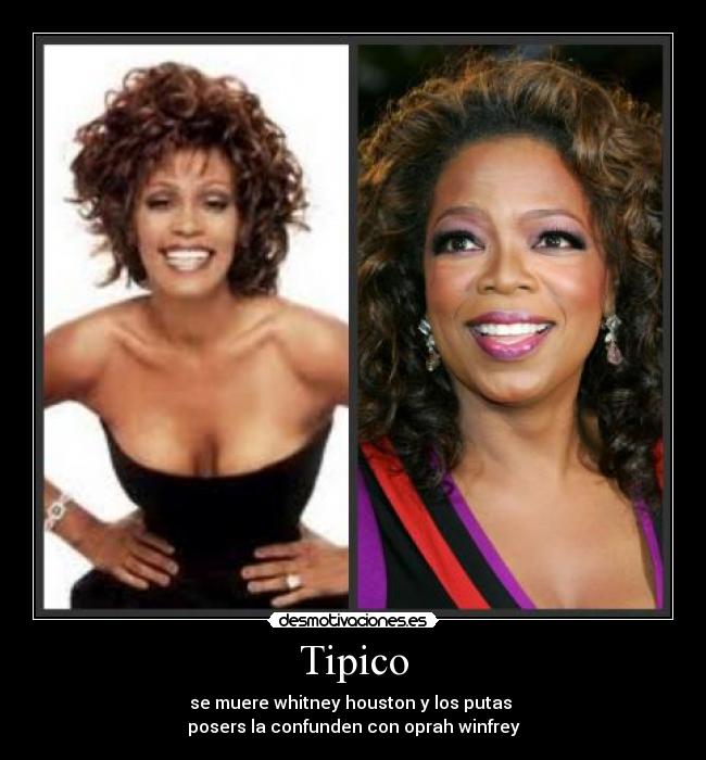 Tipico - se muere whitney houston y los putas 
posers la confunden con oprah winfrey
