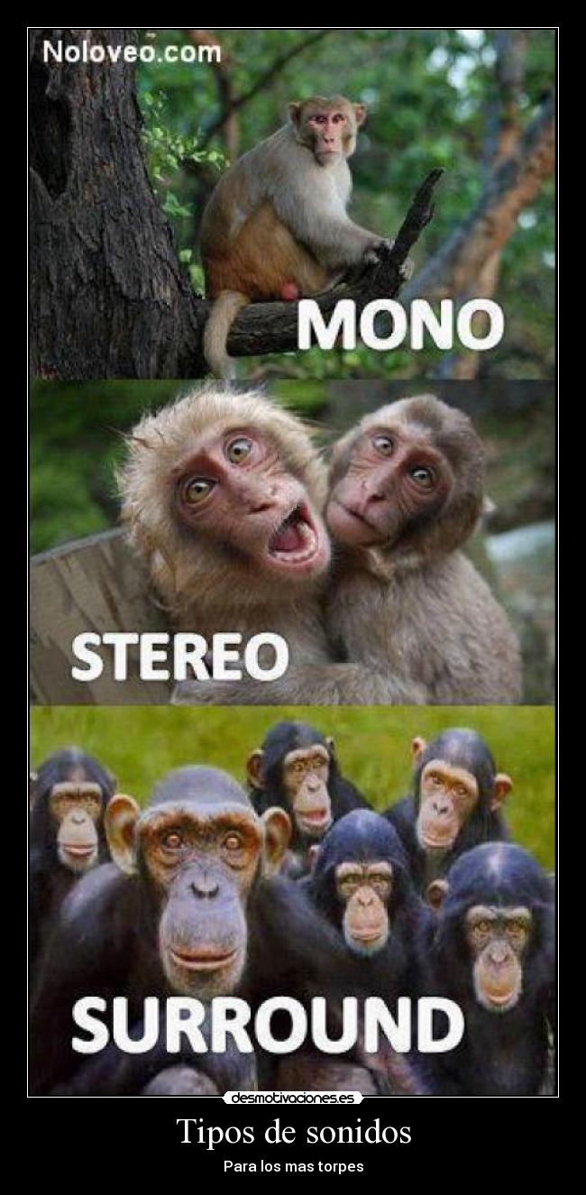 Tipos de sonidos - Para los mas torpes