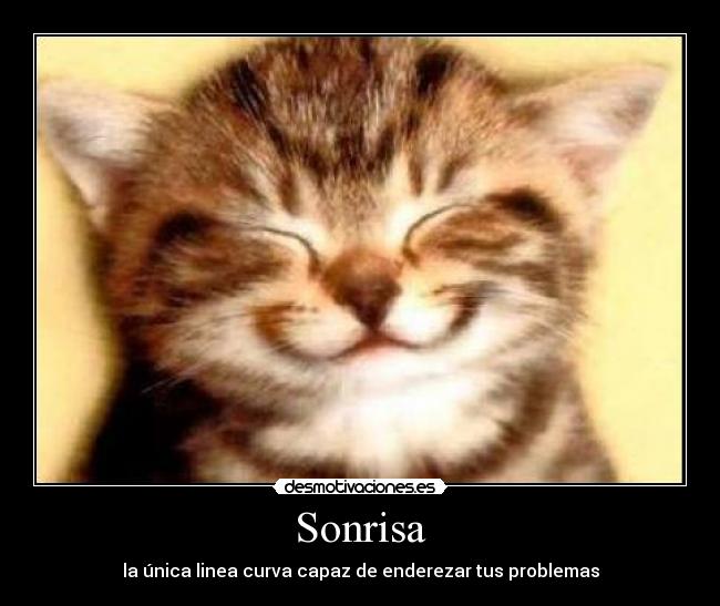 Sonrisa - la única linea curva capaz de enderezar tus problemas