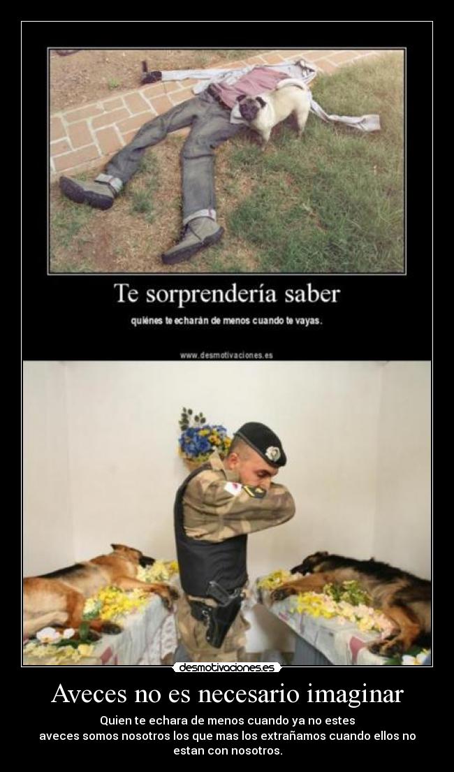 Aveces no es necesario imaginar - Quien te echara de menos cuando ya no estes
aveces somos nosotros los que mas los extrañamos cuando ellos no
estan con nosotros.