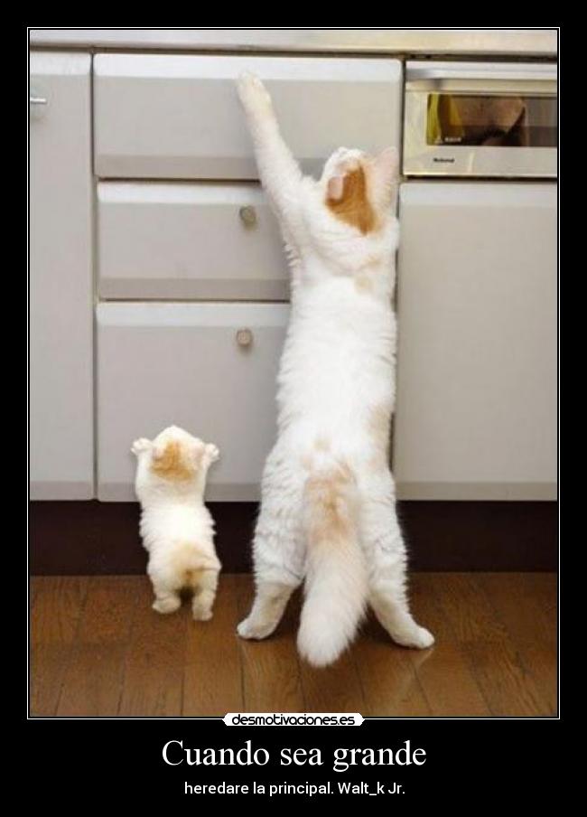 Cuando sea grande - heredare la principal. Walt_k Jr.