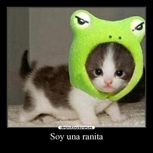Soy una ranita -