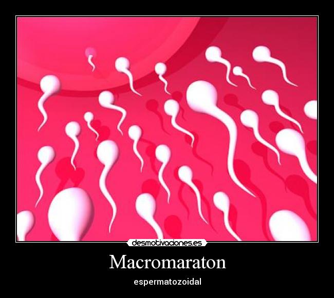 Macromaraton - espermatozoidal