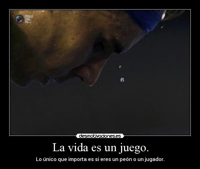 carteles vida affinity huele baneados por voto masivo everywhere desmotivaciones