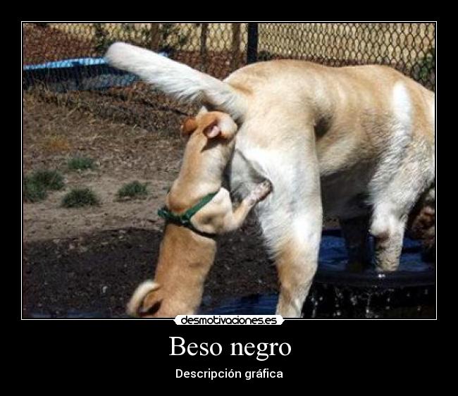 carteles beso negro desmotivaciones