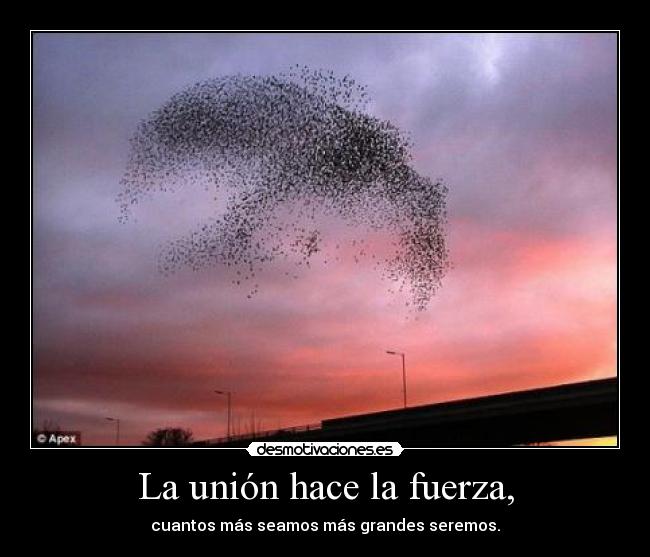 La unión hace la fuerza, - 