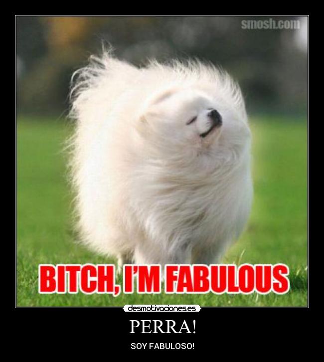 PERRA! - SOY FABULOSO!
