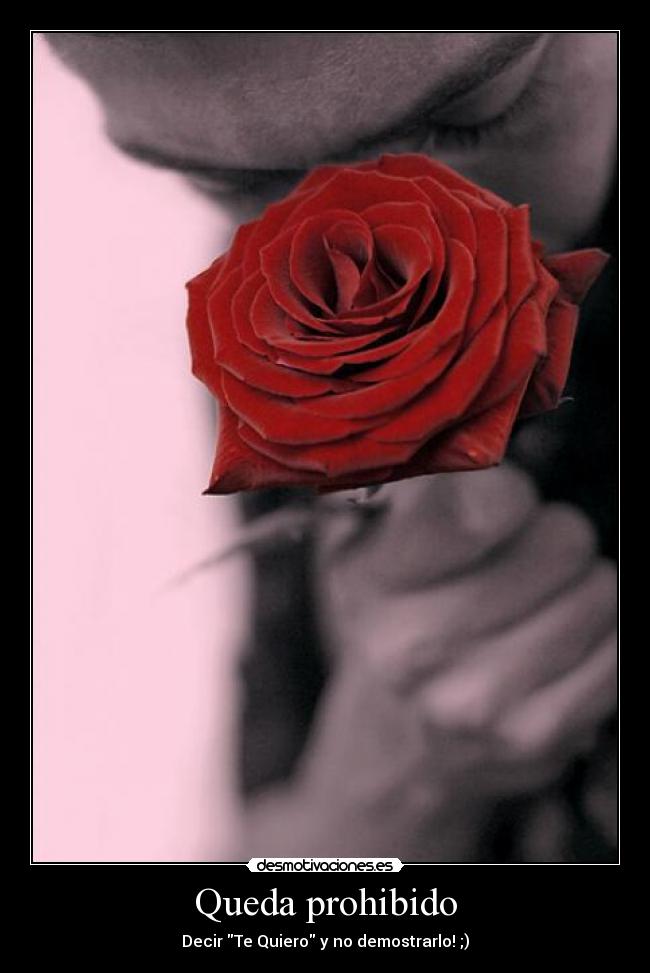 Queda prohibido - Decir Te Quiero y no demostrarlo! ;)